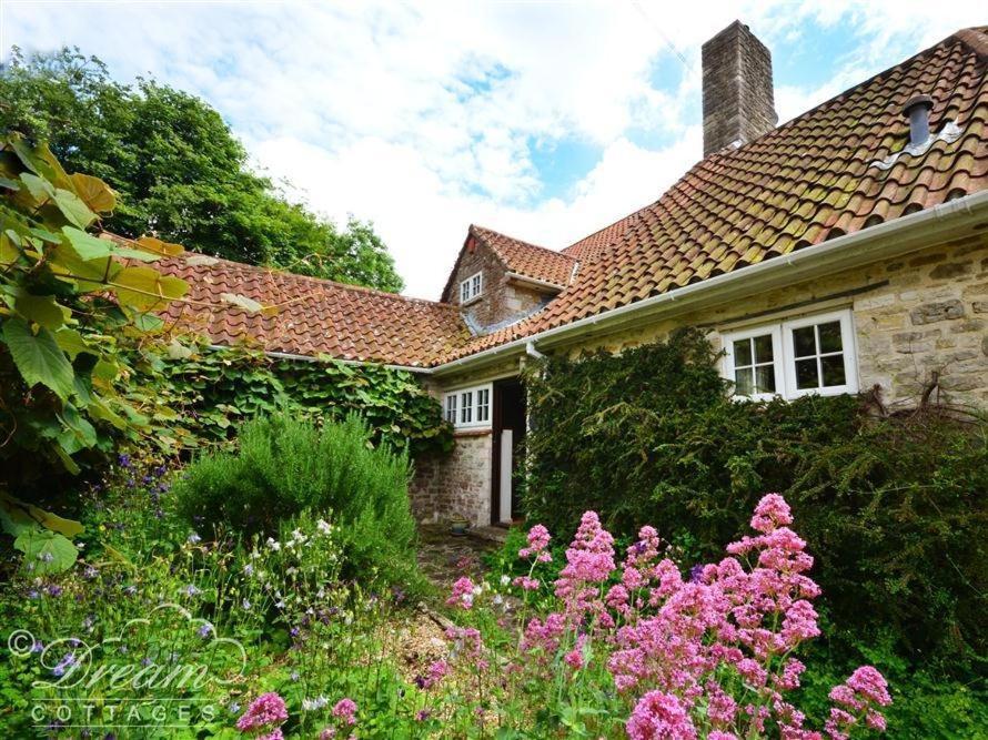 Sixpenny Cottage Upwey Kültér fotó